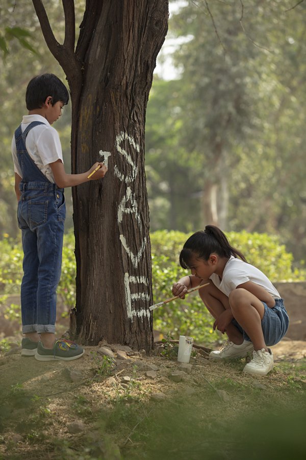 Environment programme